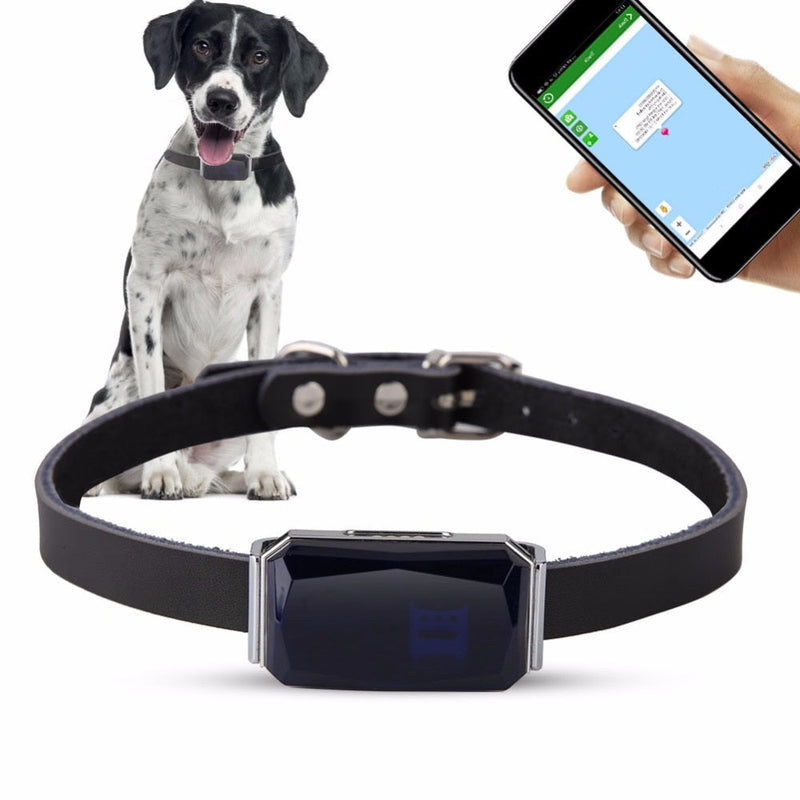 Coleira GPS para Cães e Gatos Funcional | À Prova D' Água | GPS para Pets com Microfone